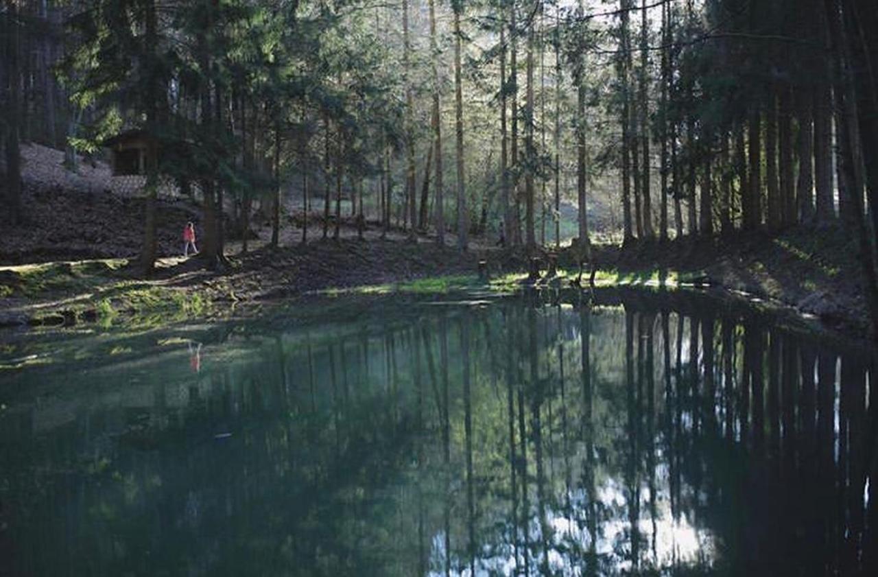 Ferienhaus "Baeren Ecke" Am See Im Bergland Kirchheim unter Teck Dış mekan fotoğraf